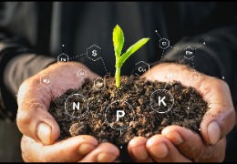 食品原料小百科：植物中能用PQQ嗎？