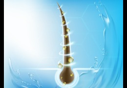 解決當代年輕人脫發(fā)煩惱的透明質(zhì)酸鈉(下)