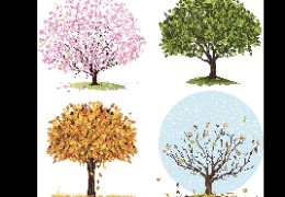 為什么換季皮膚易干燥？