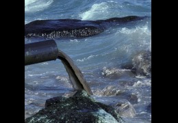 核輻射風波，日妝還能用嗎？